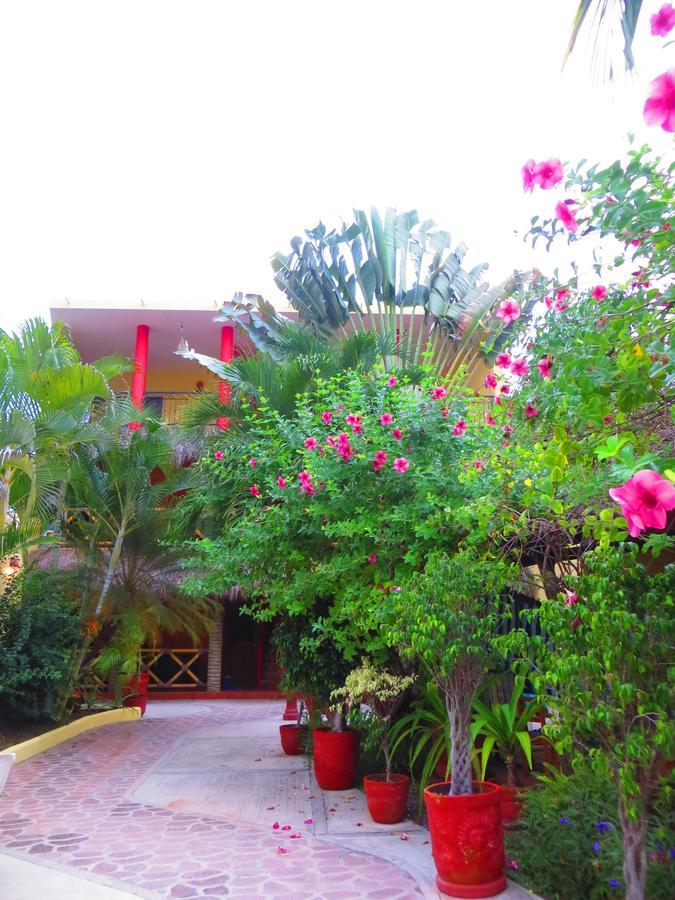 La Cruz Inn La Cruz de Huanacaxtle エクステリア 写真